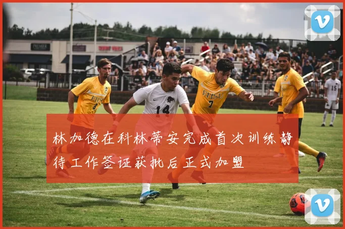 林加德在科林蒂安完成首次训练静待工作签证获批后正式加盟