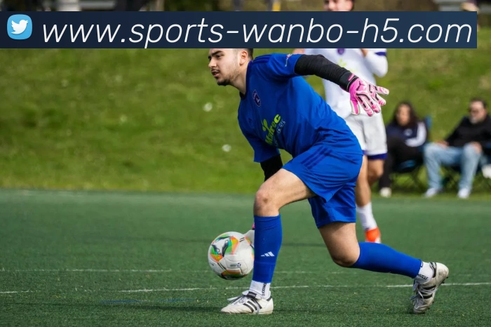 App Interface Preview